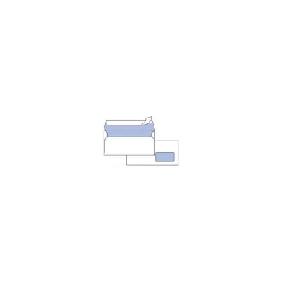 PIGNA CF500 BUSTE EDERA C/FIN 11X23CM 0170578AM