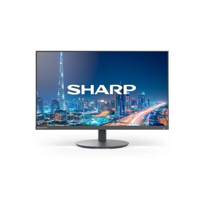 SHARP/NEC MULTISYNC DD-E244F DDE244F