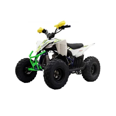 Quad LEM Kondor 125cc Ruote 8"