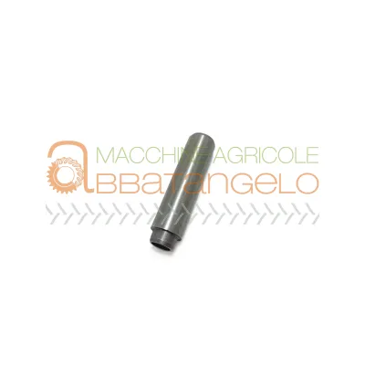 GUIDA VALVOLE 0.007.1779.0/20