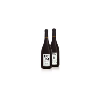 VINO OTTOUVE LETTERE PENISOLA SORRENTINA