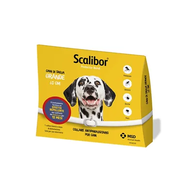 SCALIBOR PR.BAND 65CM BI VET