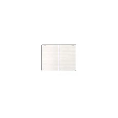 MOLESKINE 12M DAILY LG SAP.BLUE HARD DHB2012DC3Y27