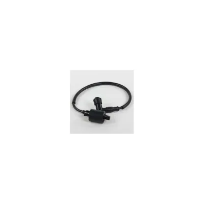 Bobina di accensione alta tensione, per Pit Bike, Quad, Dirt Bike