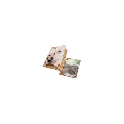 PIGNA CF6 CART 3LEMBI DOLCI CUCCIO D1,2 02326373L