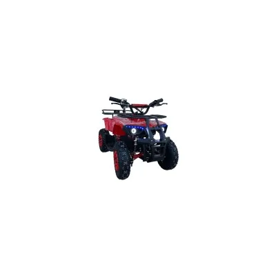 Mini Quad Elettrico Compatto Motors SAT 1000w 36V Ruote 6