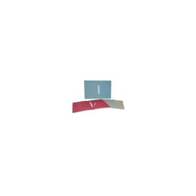 BREFIOCART CF25CARTELLINE C/SPILLO MANILLA AZZ 0205502B