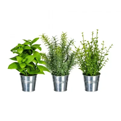 Adriani & Rossi Set 3 erbe aromatiche