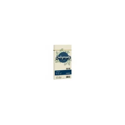CARTOTECNICA FAVINI CF25BUSTE NATURE 90G 11X22 ALGA A57Q444