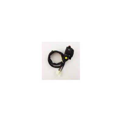 Interruttore di controllo ATV sinistro Assy per 50cc 70cc 90cc 110cc 125cc Kazuma Taotao Sunl