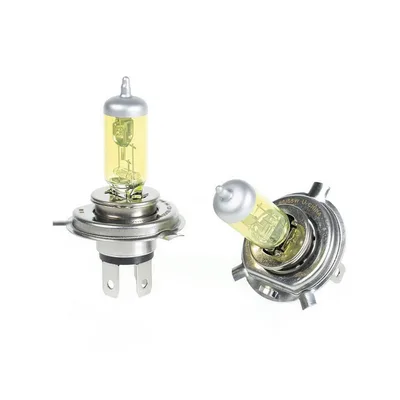 N472W WEATHER LIGHT 64193 H4 60/55W 12V P43t