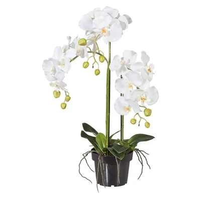 Adriani & Rossi Orchidea artificiale