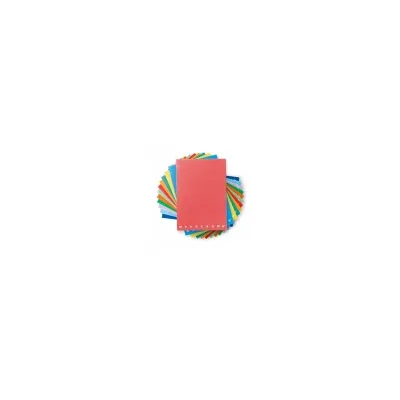 PIGNA CF10 QUADERNI FLOWERS A4 OQ 80GR 0229885OQ