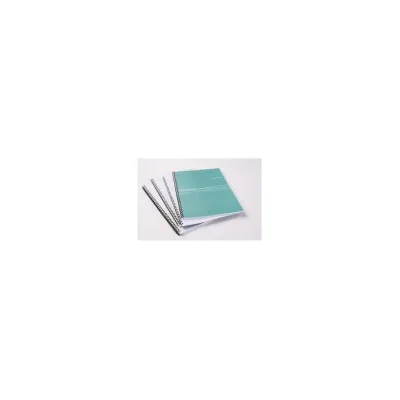 FELLOWES LEONARDI CF100 DORSI METALLICI D.6MM SILVER 54450