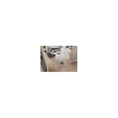 HOOVER SDA HOOVER ROBOT HG450HP 011 38383009