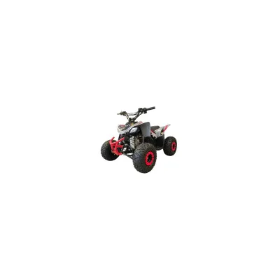 Mini Quad LEM Baby Kondor 110cc Ruote 6"