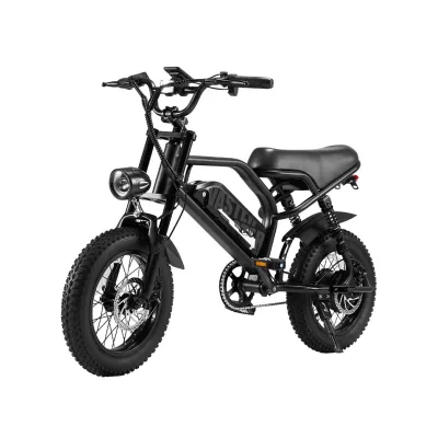 Bici Elettrica A13 ruote 16" 250 Watt 13Ah