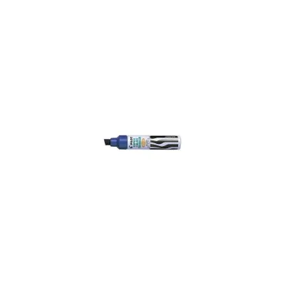 PILOT CF12MARKER MAXI 6600 BLU 2430