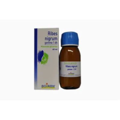 RIBES NIGRUM MACERATO GLICERICO GEMME 60 ML