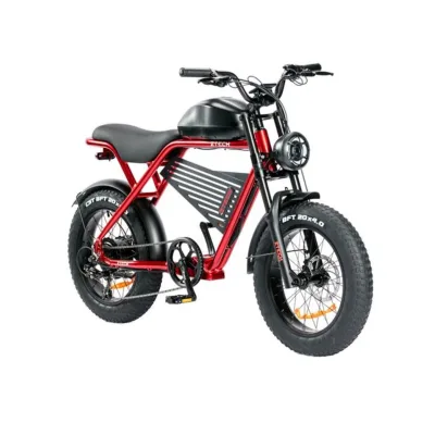 Bici Elettrica Ztech ZT-75B Legacy 4.0 250W