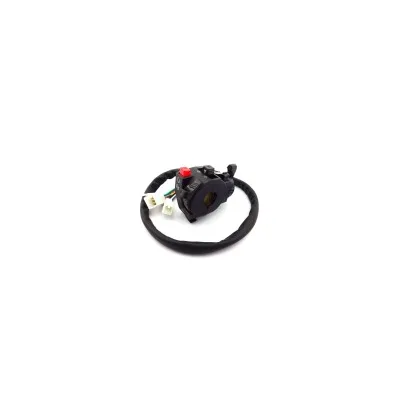 Controllo interruttore manubrio 110cc 150cc 200cc ATV Quad Taotao Sunl Roketa