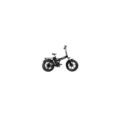 Bici Elettrica Pieghevole OmBike 750W 48V 16Ah