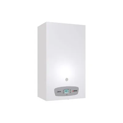 Caldaia a Condensazione BIASI DINA 30 Metano/Gpl WI-FI OPTIONAL Completa DI KIT SCARICO FUMI