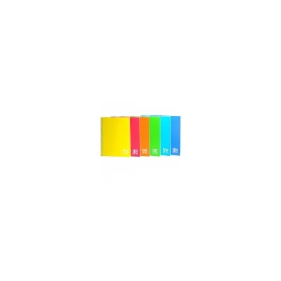 BLASETTI CF6 ONE COLOR PPL NO FORATO A4 5M 7664