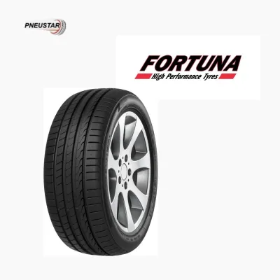 FORTUNA ECOPLUS EV 245 45 R19 102Y XL (2454519)