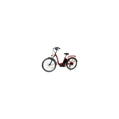 Bici Elettrica Ztech CY-O1 Akery 250W