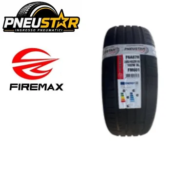 FIREMAX FM601 245 45 R19 102W XL (2454519)