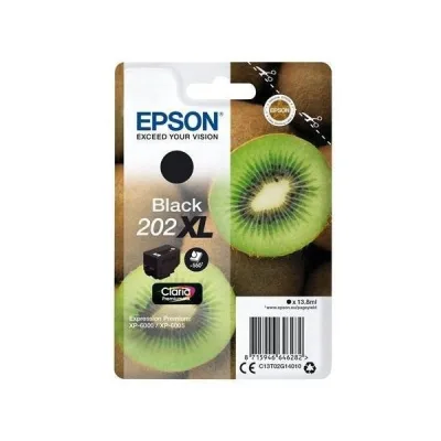 KIWI 202 C13T02G14020