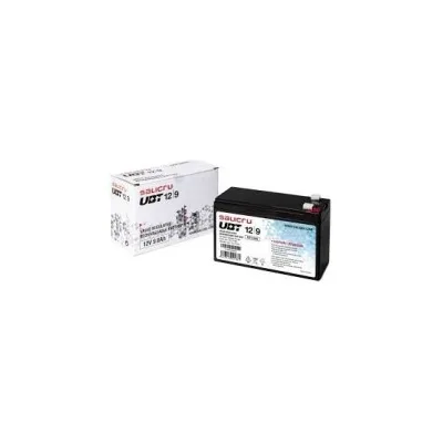 BATTERIA GRUPPO DI CONTINUITA' UPS Salicru AGM UBT UBT 12/9 9aH 12v 013BS000002