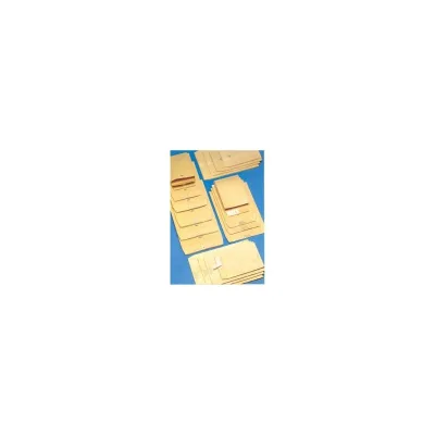 BLASETTI CF250 BUSTE SACCO AVANA 25X35 3CM 844