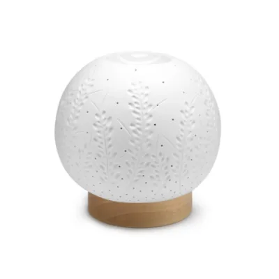 NASOTERAPIA DIFFUSORE ELETTRICO AURIS