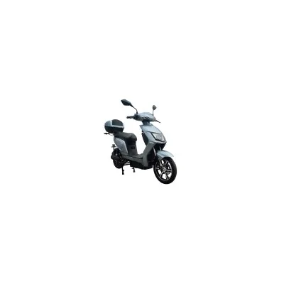 Scooter Elettrico NCX Rider EVO 800W Targabile