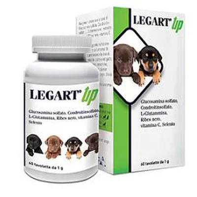 LEGART UP 60CPR VET