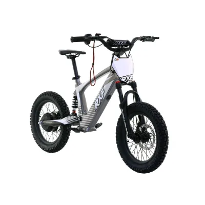 Bici Elettrica RXF EVO 500W 16"