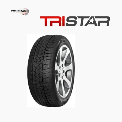 TRISTAR SNOW POWER 195 65 R15 91T (1956515)