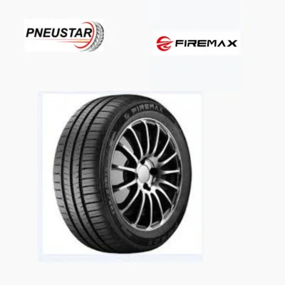 FIREMAX FM601 165 65 R14 79T (1656514)