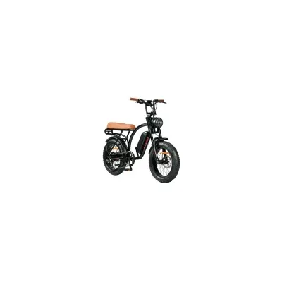 Bici Elettrica Ztech ZT-86B Legacy 2 250W