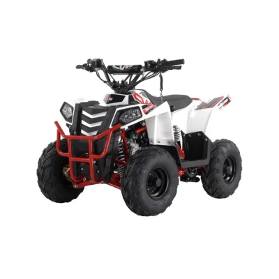 Mini Quad Apollo Mini Commander 110cc