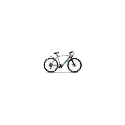 Bici Elettrica NCX A-SEK 250W