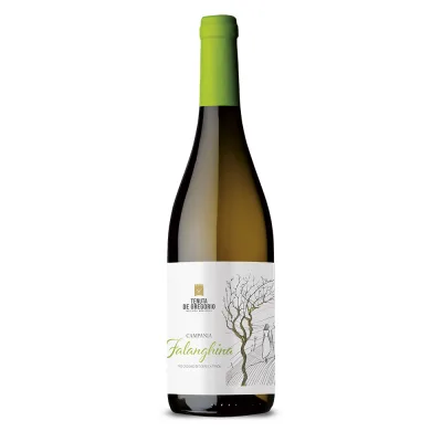 FALANGHINA IGT TENUTA DE GREGORIO