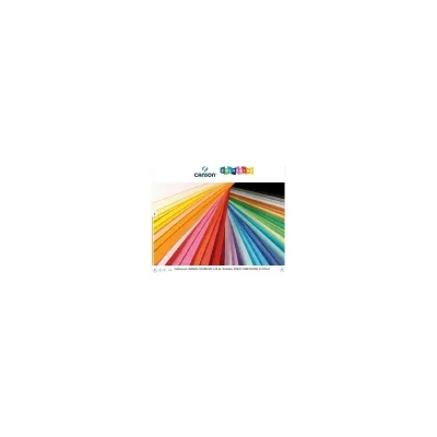 CANSON CF25FF COLORLINE 50X70 220 BIANCO 200041134