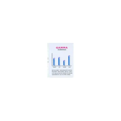 FAVORIT CF25BUSTE FOR.UN.SUPERIOR 25X35 LIS 100460071