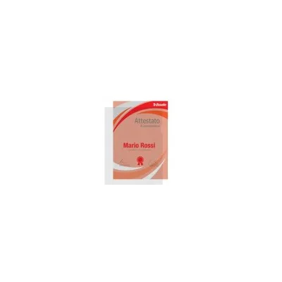 ESSELTE CF25BUSTE L OFFICE ANTIRIFL A4 392581200