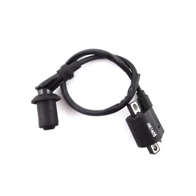 Bobina di accensione per CG 125cc 150cc 200cc 250cc ATV Quad 4 ruote Taotao Sunl