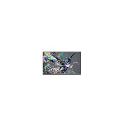 PHILIPS DS MONITOR 65 Q-LINE 18/7 4K 65BDL3511Q