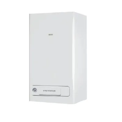 CALDAIA A Condensazione BERETTA NEW MYNUTE BOILER GREEN 25 BSI Completa DI KIT SCARICO FUMI